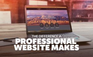 Professional website