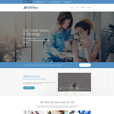 Blue Shift Web Services Web Design - Accurate Accounting of Titusville preview