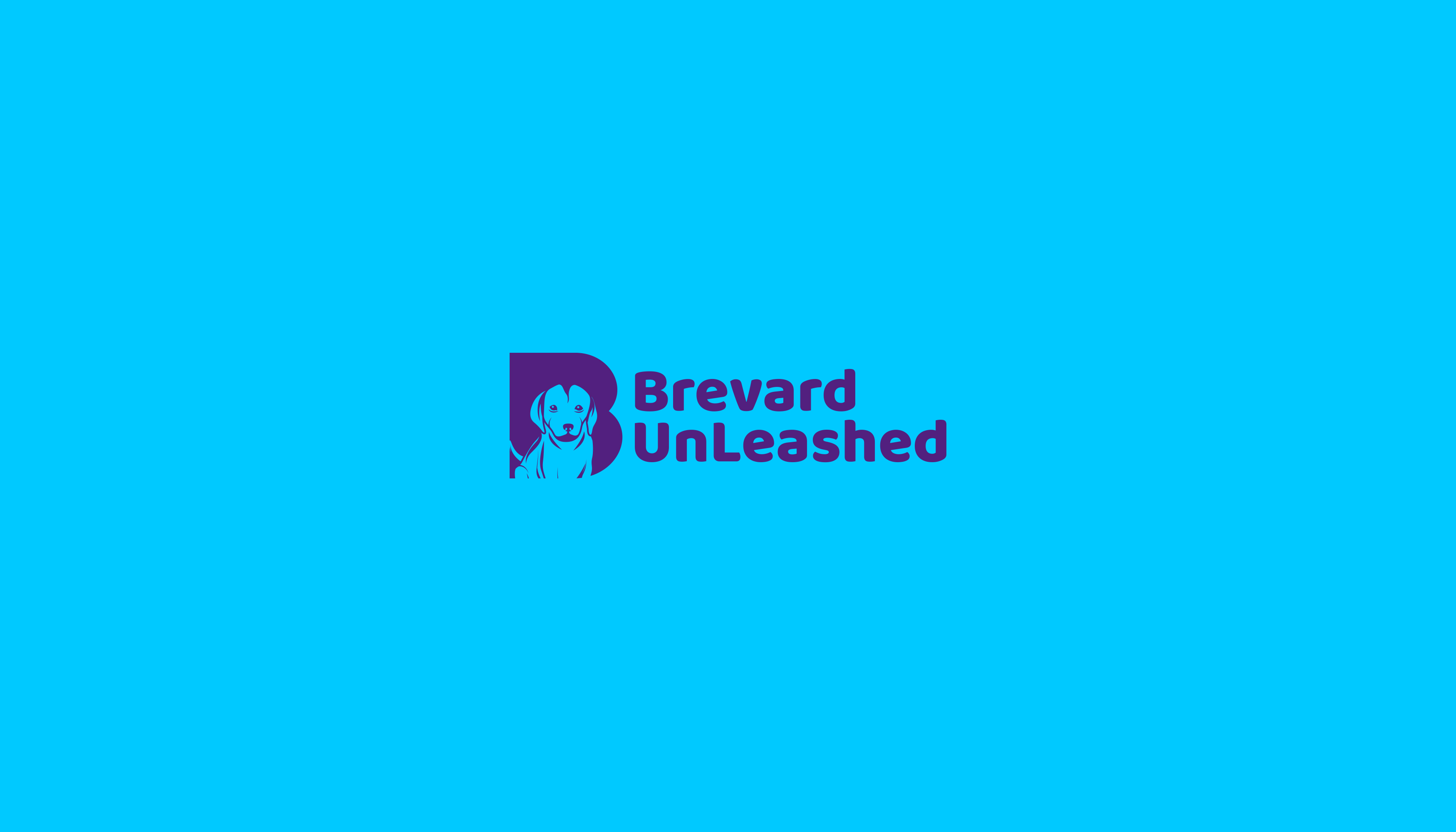 Brevard Unleashed Design #3