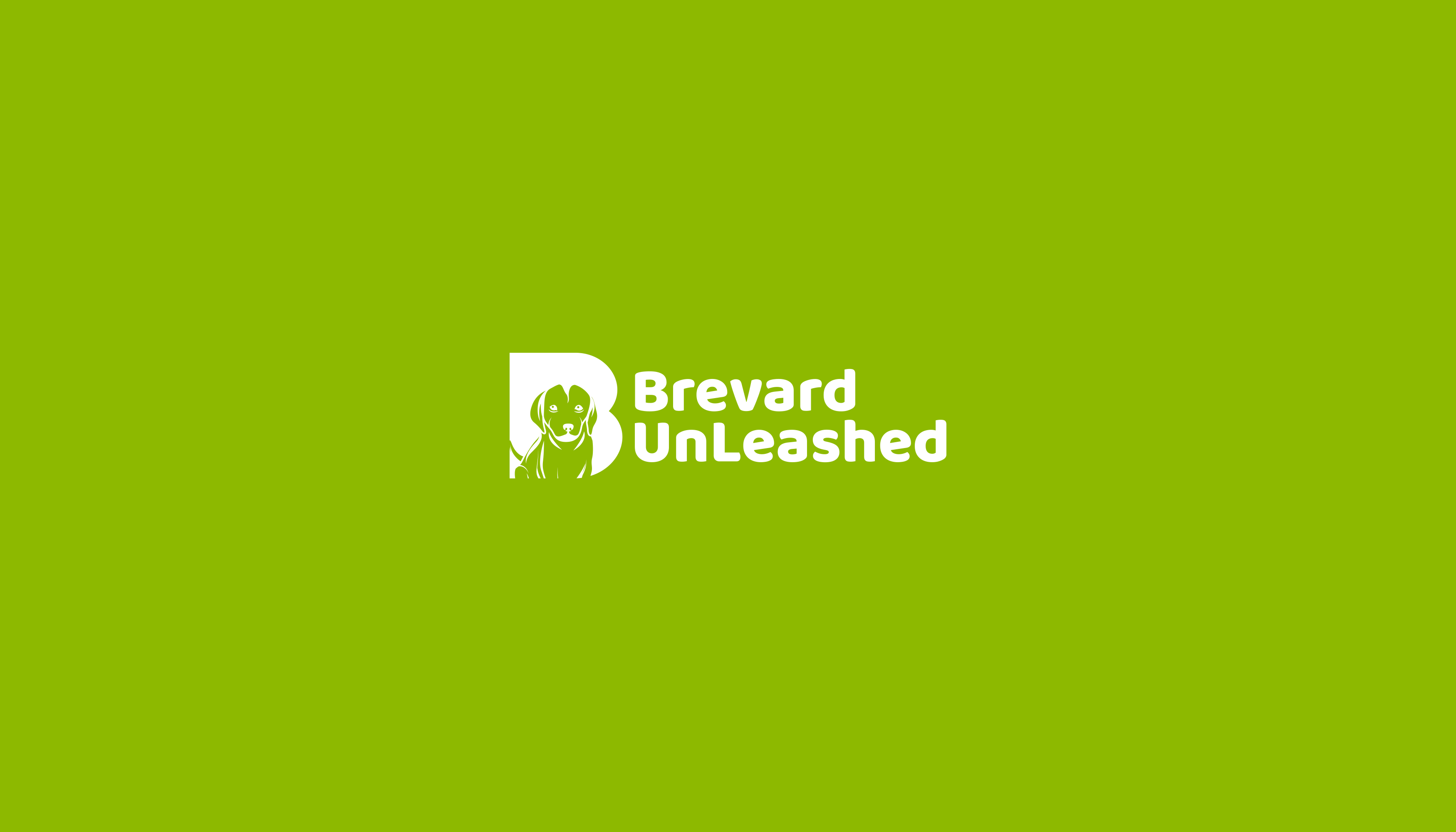 Brevard Unleashed Design #9